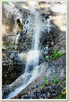 pictureside_1 pictureside_1