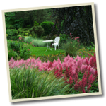 minter minter Gardens